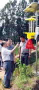 <b>浙广联袂 “山海情”催生“黄金叶”</b>